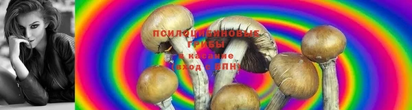 МДМА Арсеньев
