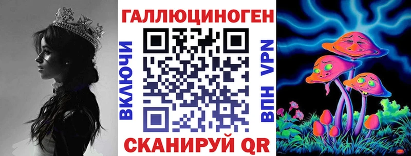 купить наркотик  Кашин  Псилоцибиновые грибы Cubensis 