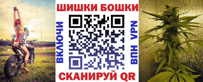 Бошки Шишки Amnesia Кашин